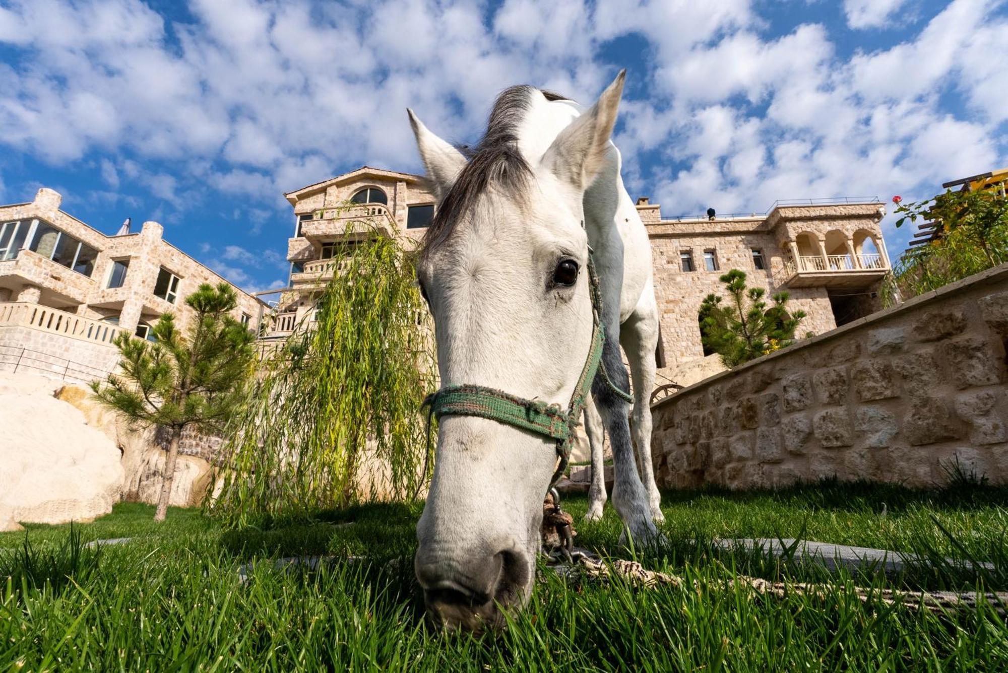 Be Still Alexa Smart Luxury Escape Adults Only Nevşehir Eksteriør billede